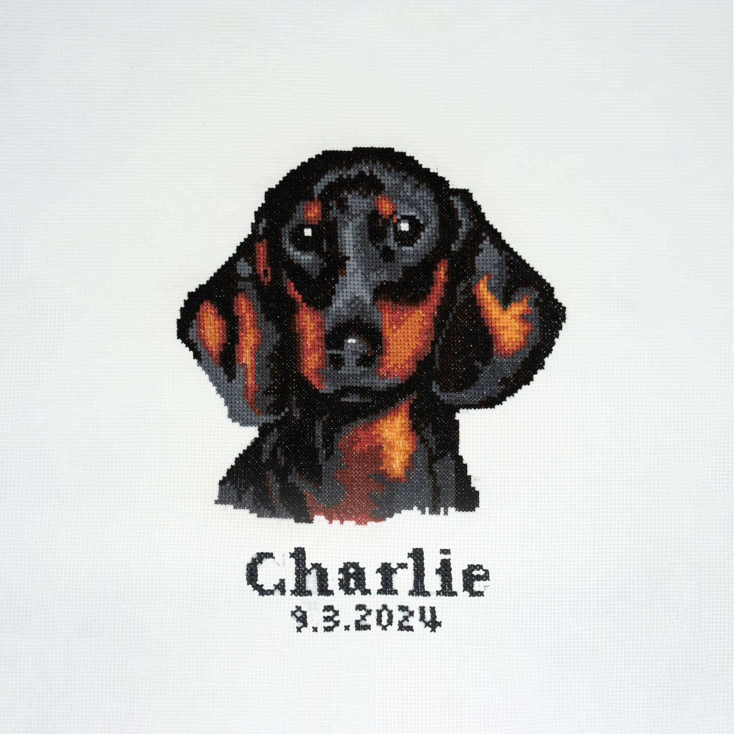 Trimits Cross Stitch Kit Large Dachshund
