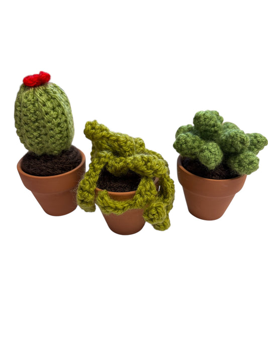Cacti Crochet Kit - Made by Carol