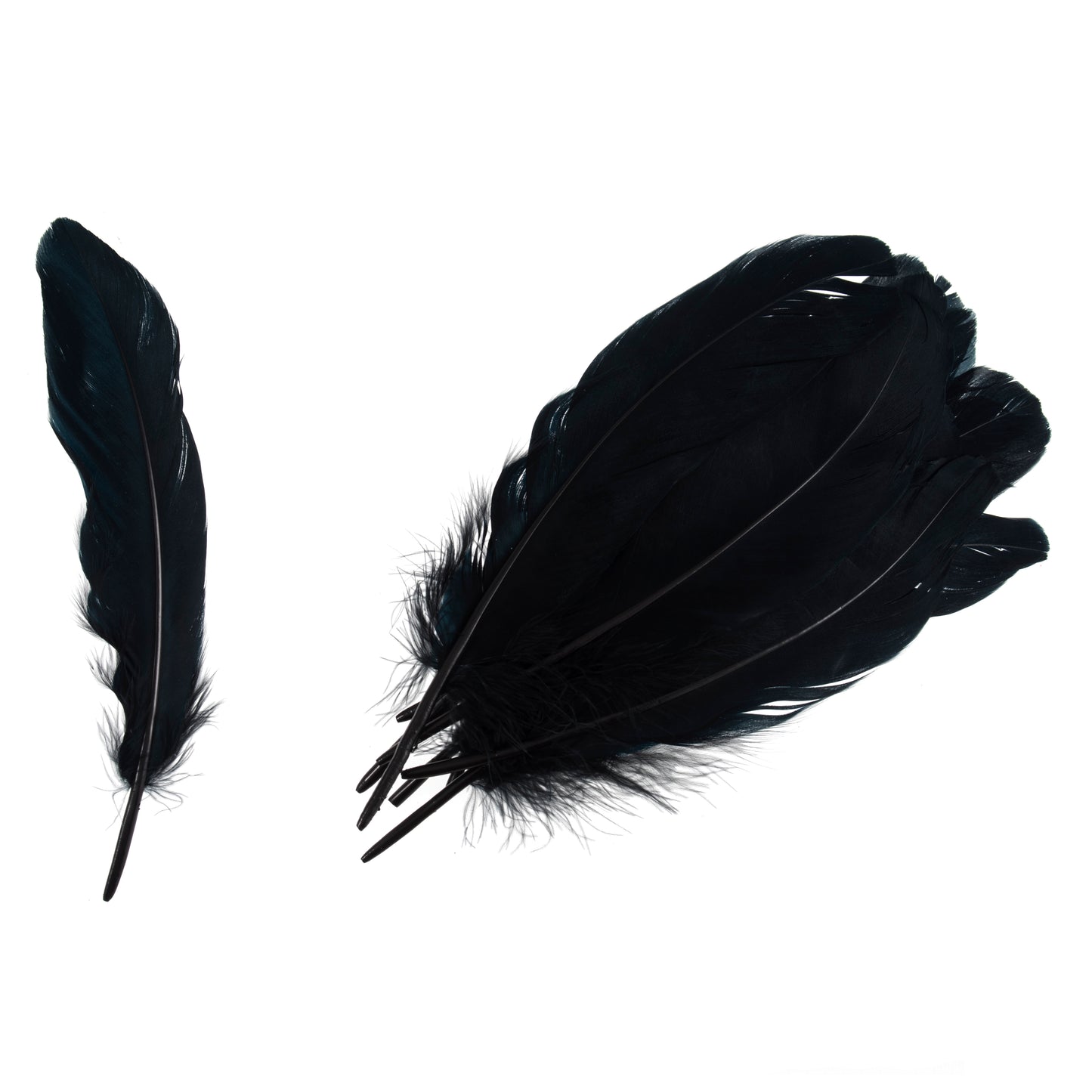 Trimits Goose Feathers - 12 pack (4 Colours Available)