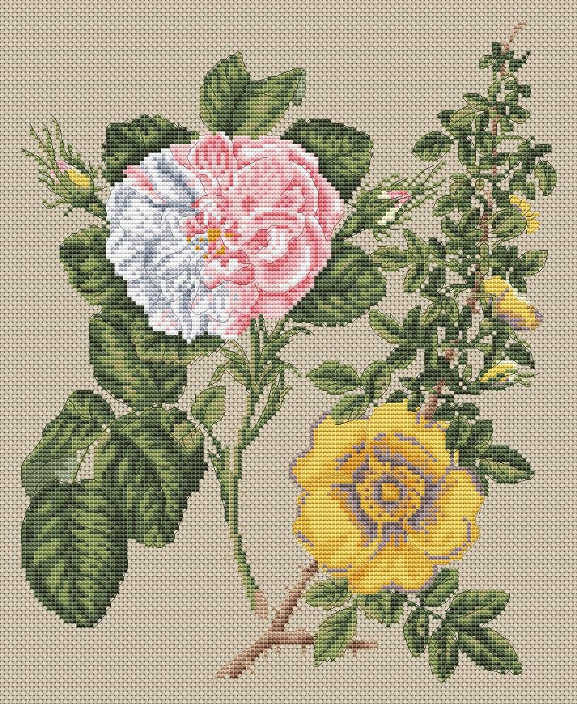 Damask & Yellow Roses Counted Cross Stitch