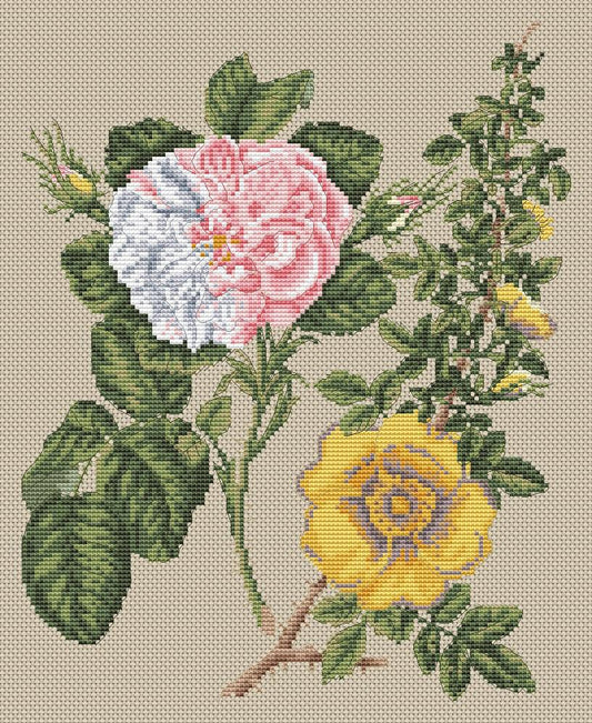 Damask & Yellow Roses Counted Cross Stitch