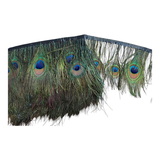 16cm Peacock Feather Trim (Price per 25cm)