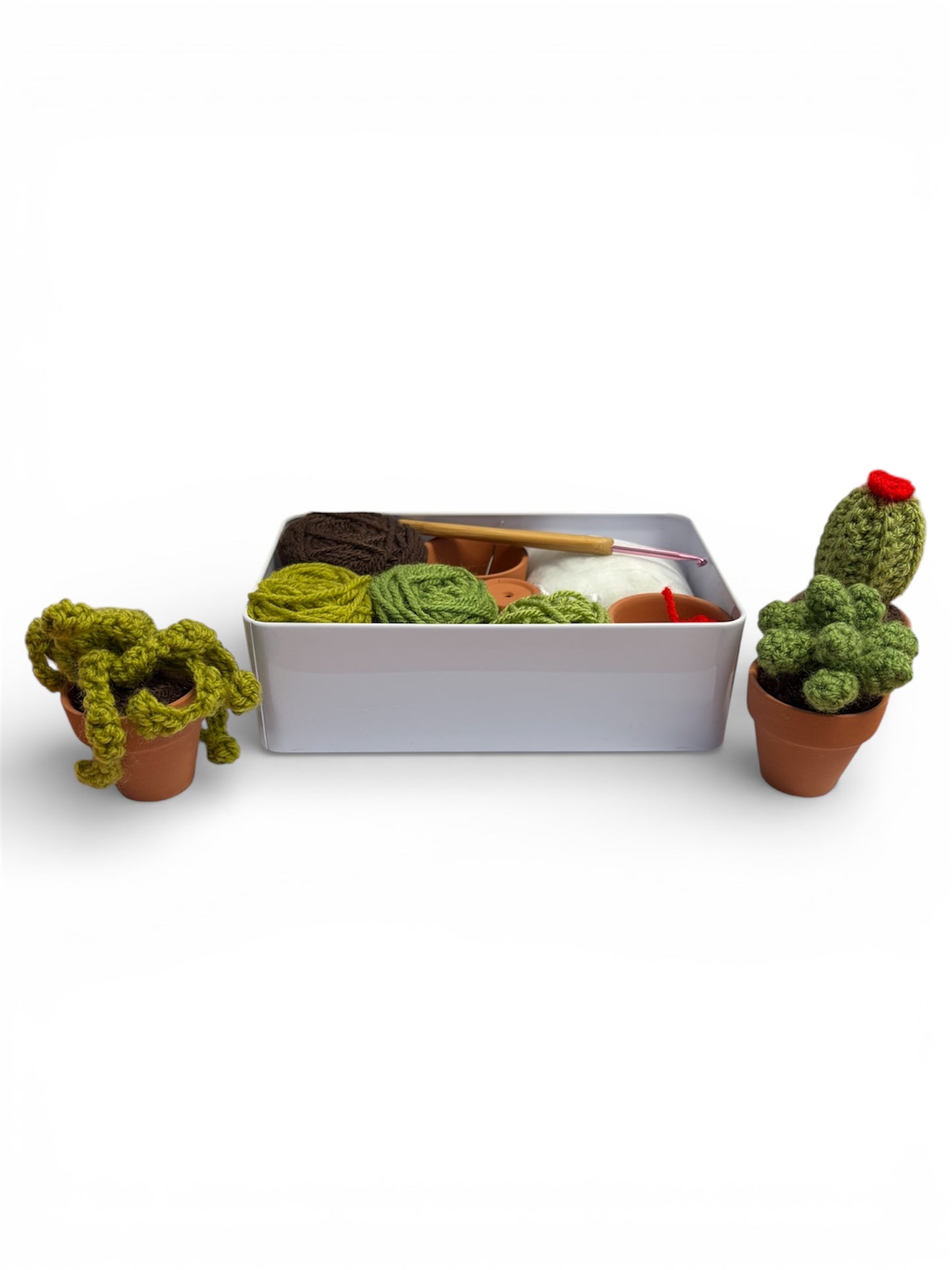 Cacti Crochet Kit - Made by Carol