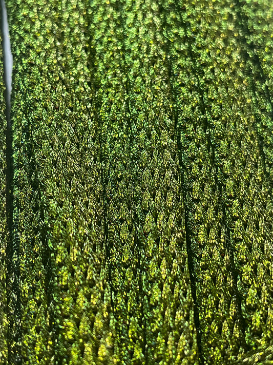 Olive Flat Braid Trim (Price Per Metre)