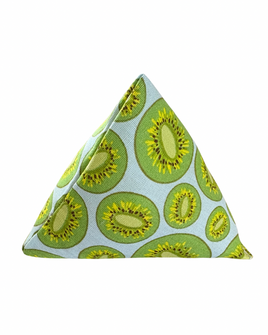 Handmade Kiwi Pattern Weight