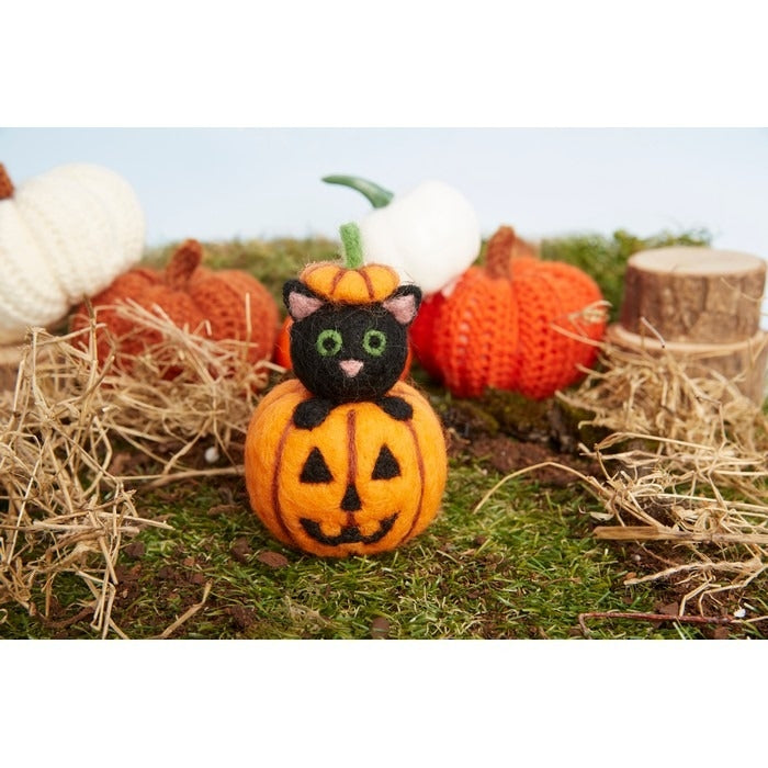 Needle Felting Kit - Halloween Cat in Pumpkin